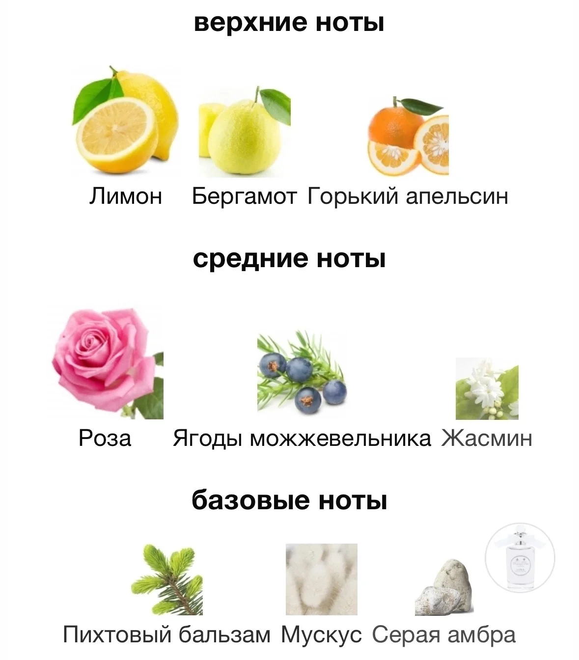 Парфюмерная вода PENHALIGONS - LUNA - миниатюра 3