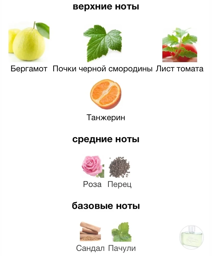 Туалетная вода LACOSTE - ESSENTIAL - миниатюра 3