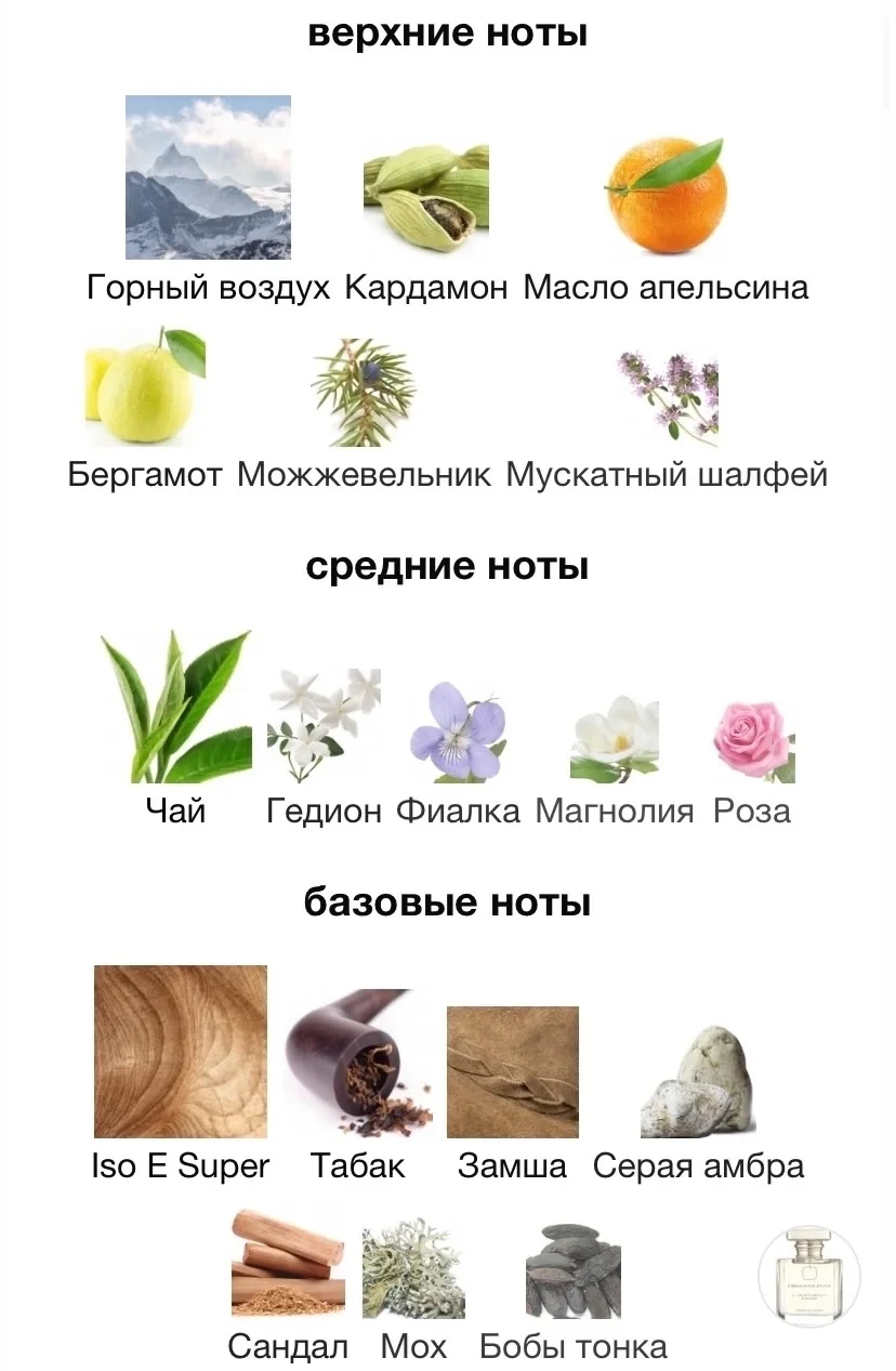 Туалетная вода ORMONDE JAYNE-MONTABACCO INTENSIVO - миниатюра 3
