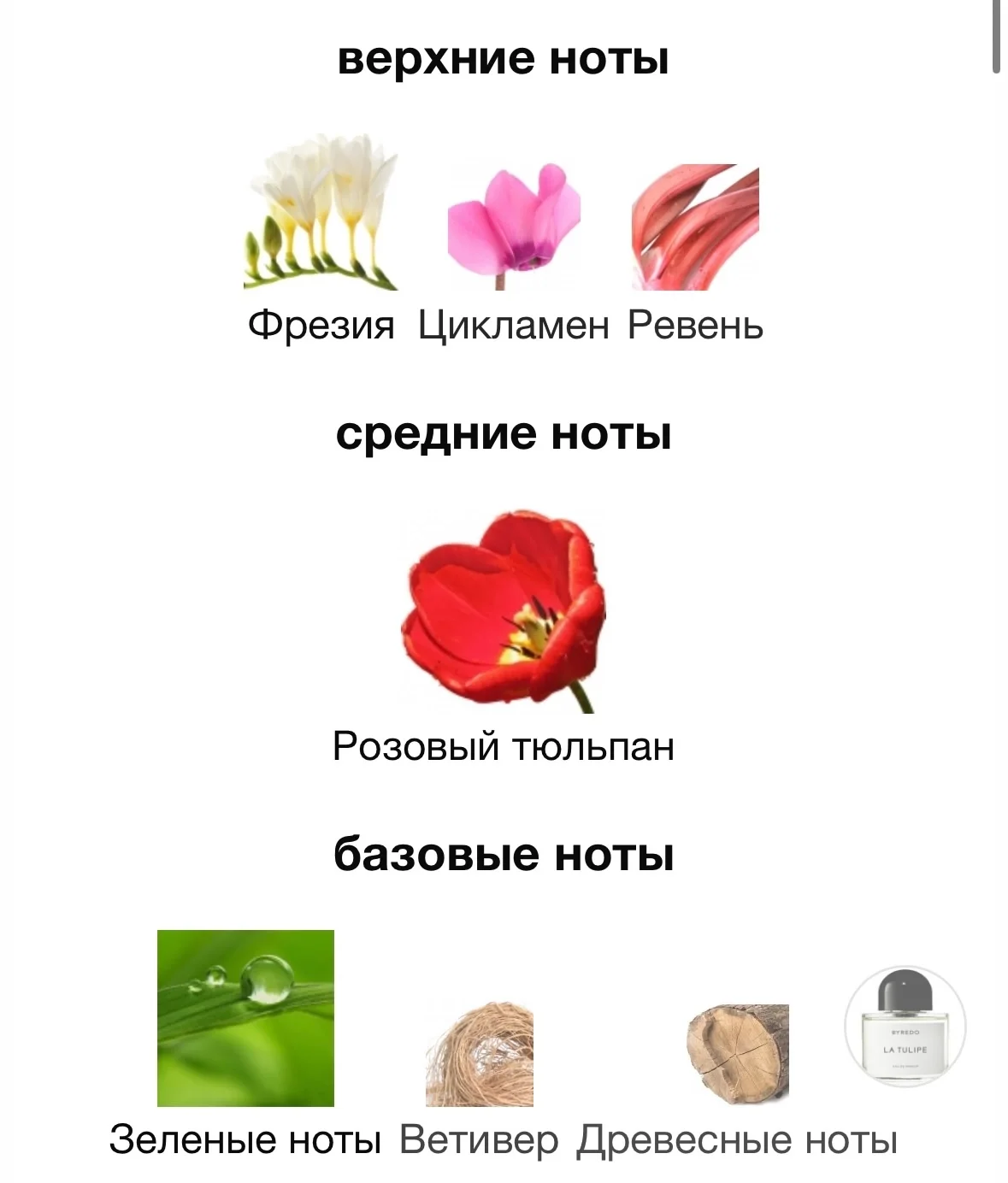 Автопарфюм BYREDO - LA TULIPE - миниатюра 4