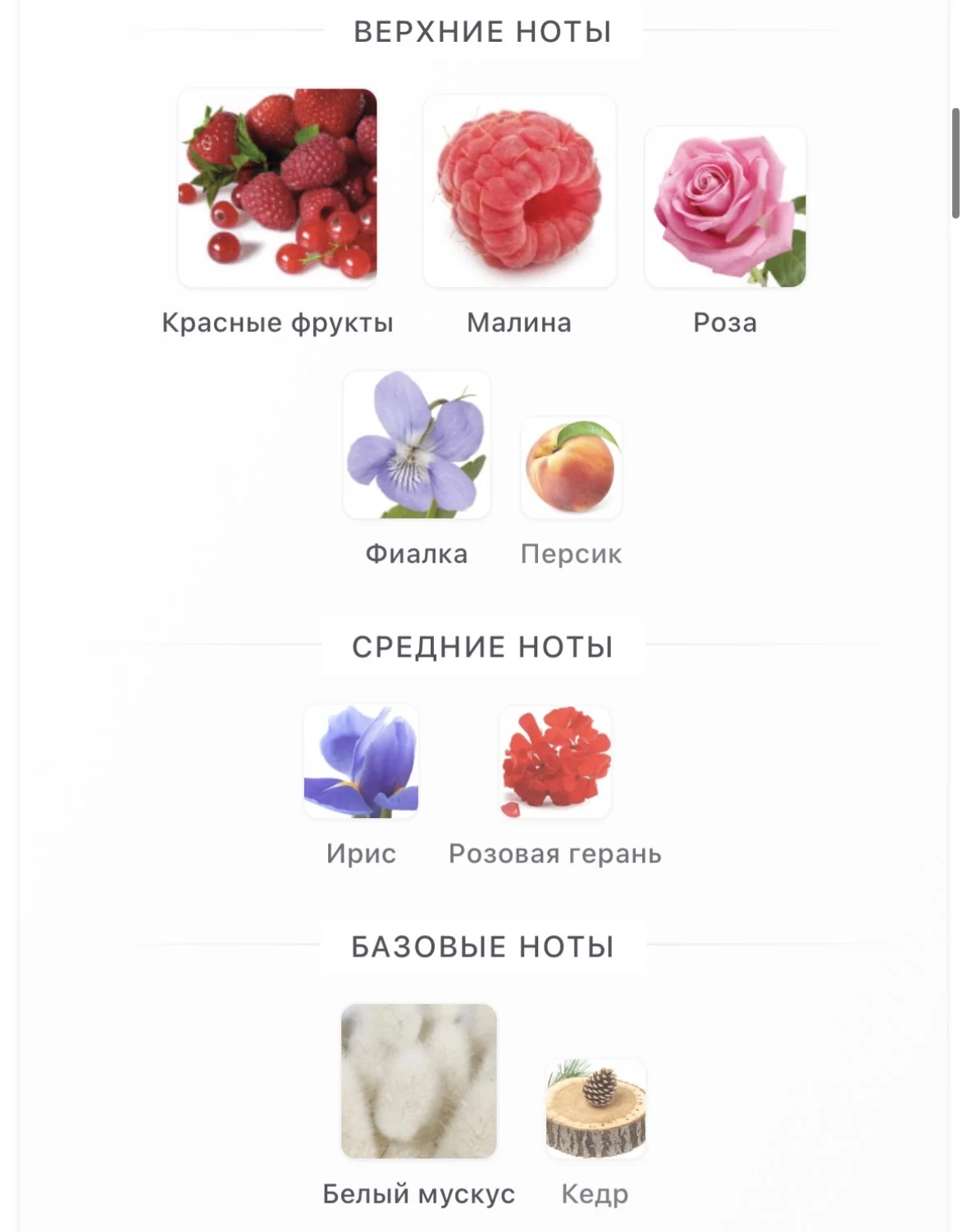 Парфюмерная вода CHANEL - EAU SPLENDIDE - миниатюра 3