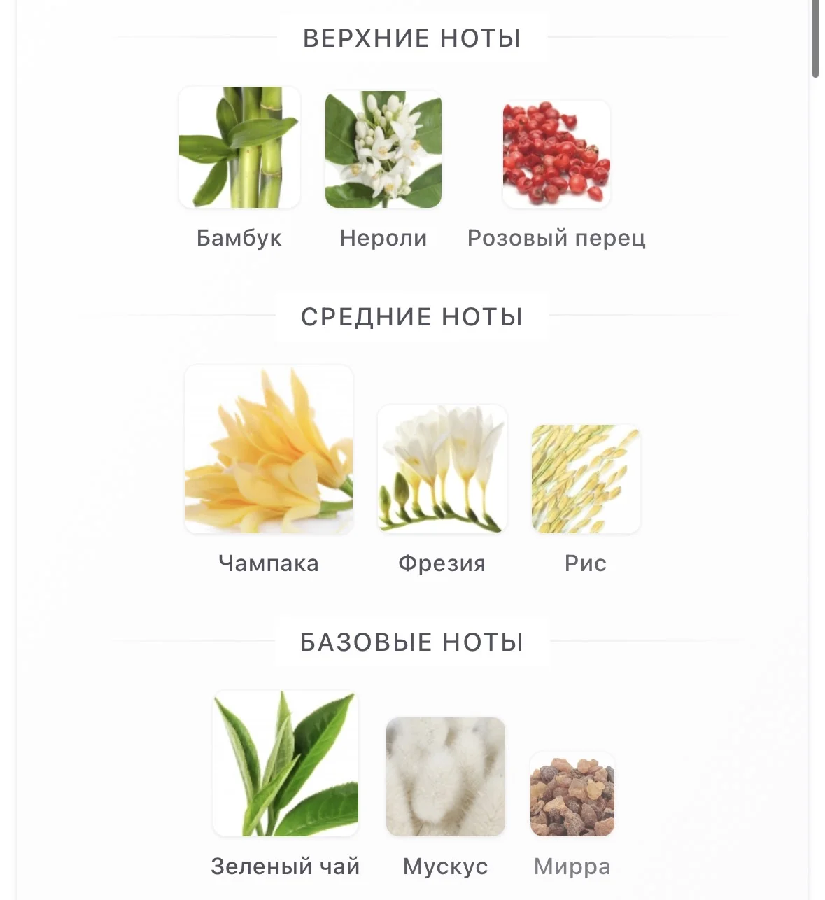 Парфюмерная вода пробник Champaca - миниатюра 3
