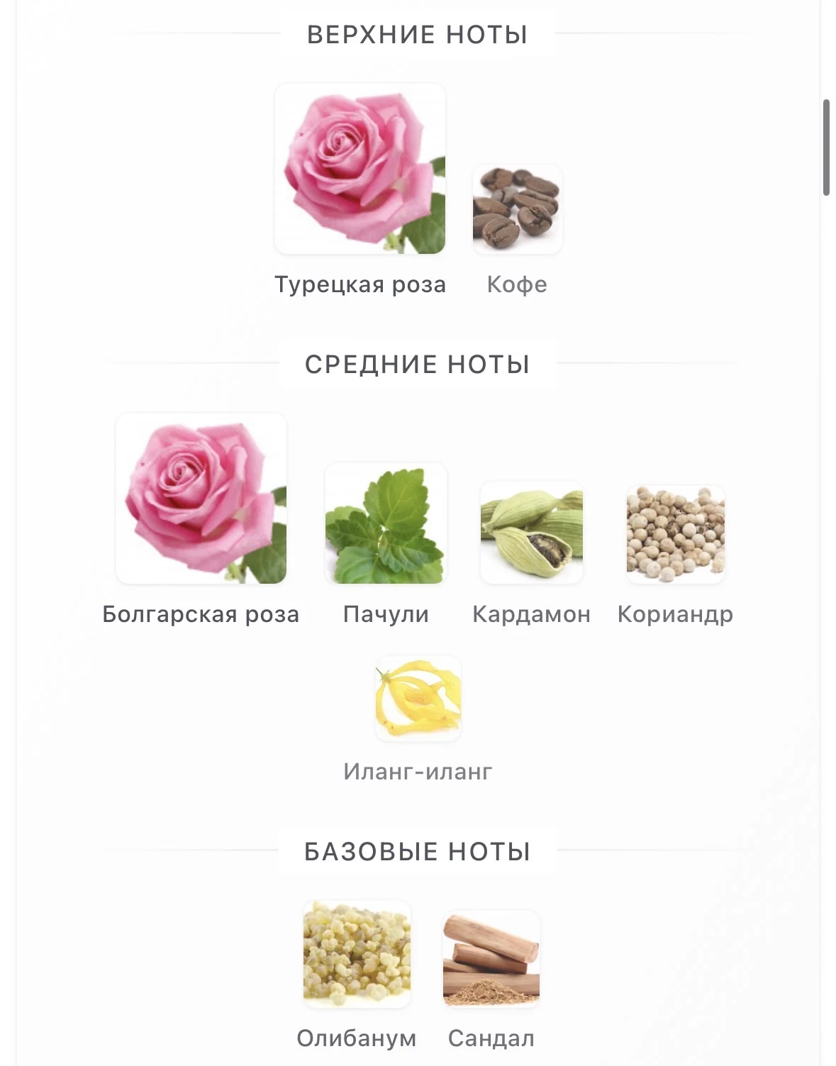Туалетная вода TOM FORD - CAFE ROSE - миниатюра 3