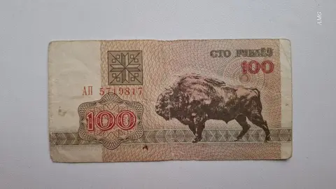 Беларусь 100 рублей 1992