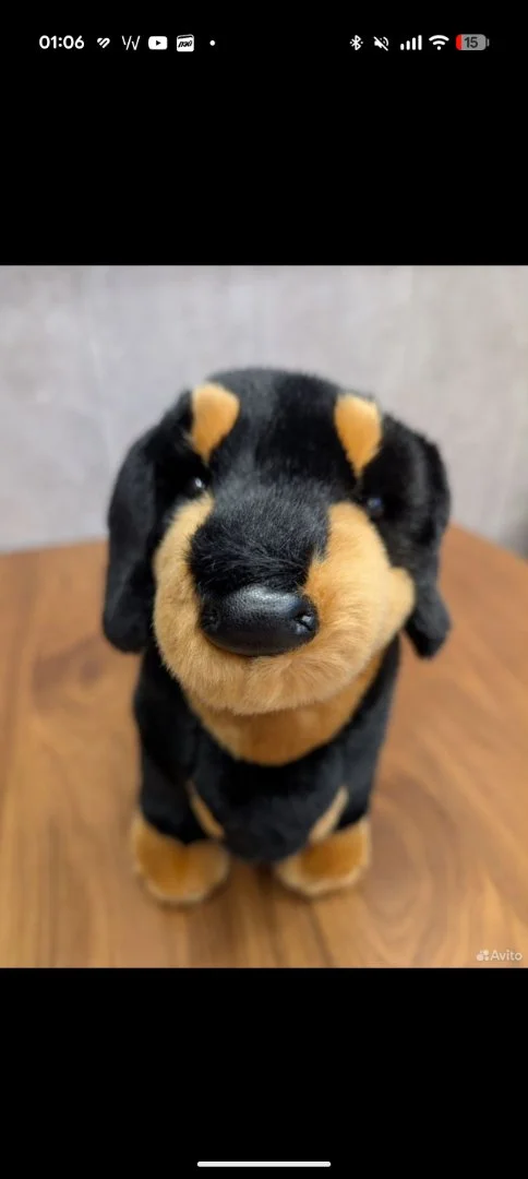 Игрушка Дуглас (Douglas) Такса черная 40 см - миниатюра 3