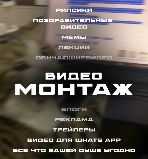 Монтаж роликов, рилсов, поздравлений и прочее - изображение 1