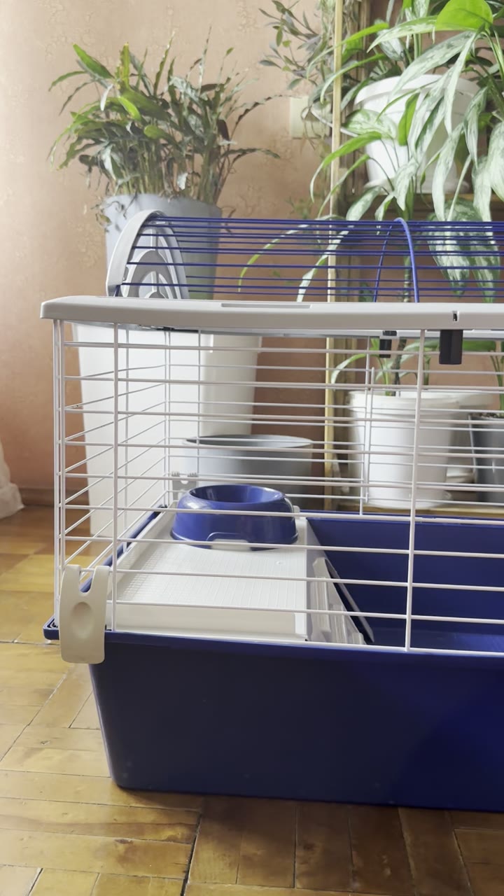 Клетка для грызунов ferplast casita 80 - видео 7
