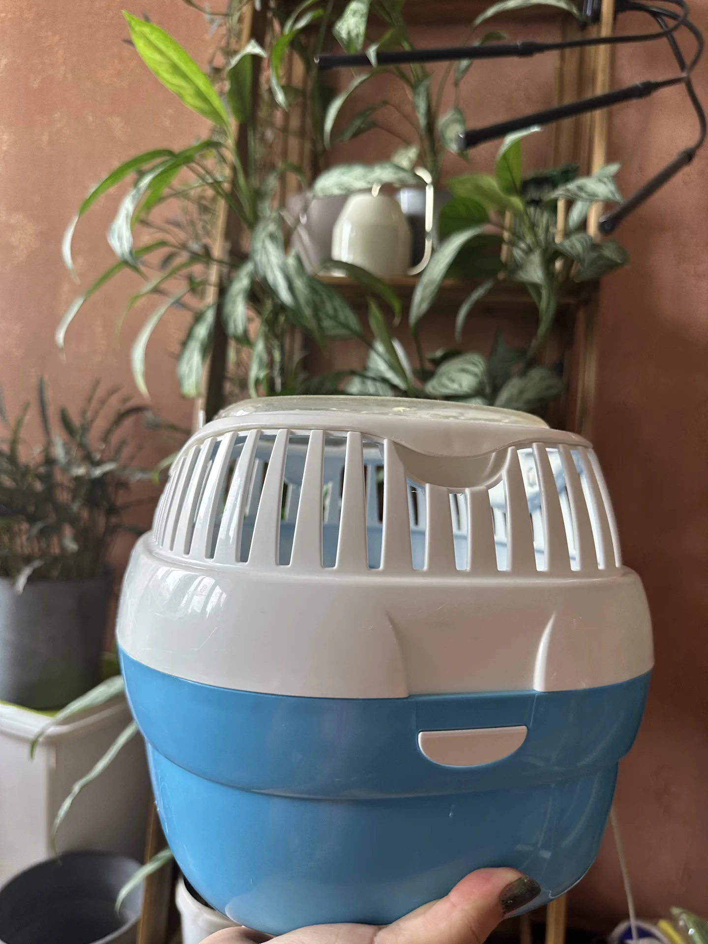Переноска Ferplast large - миниатюра 4