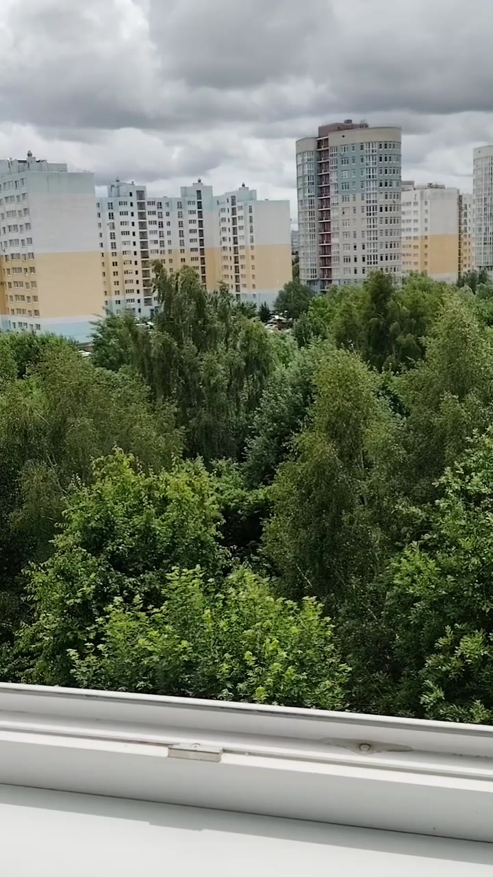 Уютная квартира в тихом зелёном районе Калининград - видео 5
