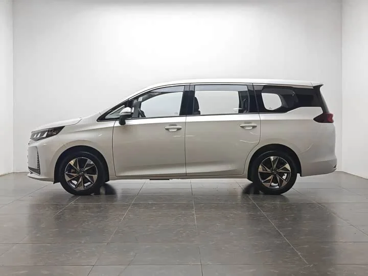 Trumpchi M6 PRO 270T Automatic Premium Edition 2022 - миниатюра 3