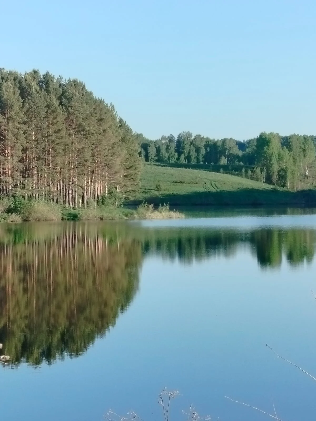 Земельный участок в Алтайском крае - миниатюра 3