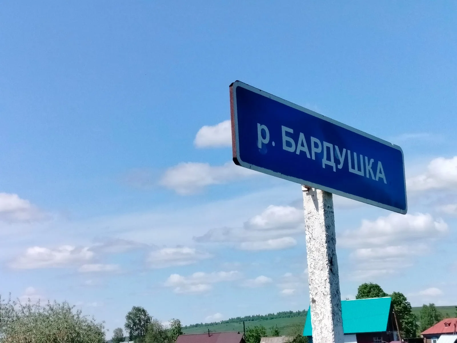 Земельный участок в Алтайском крае - миниатюра 6