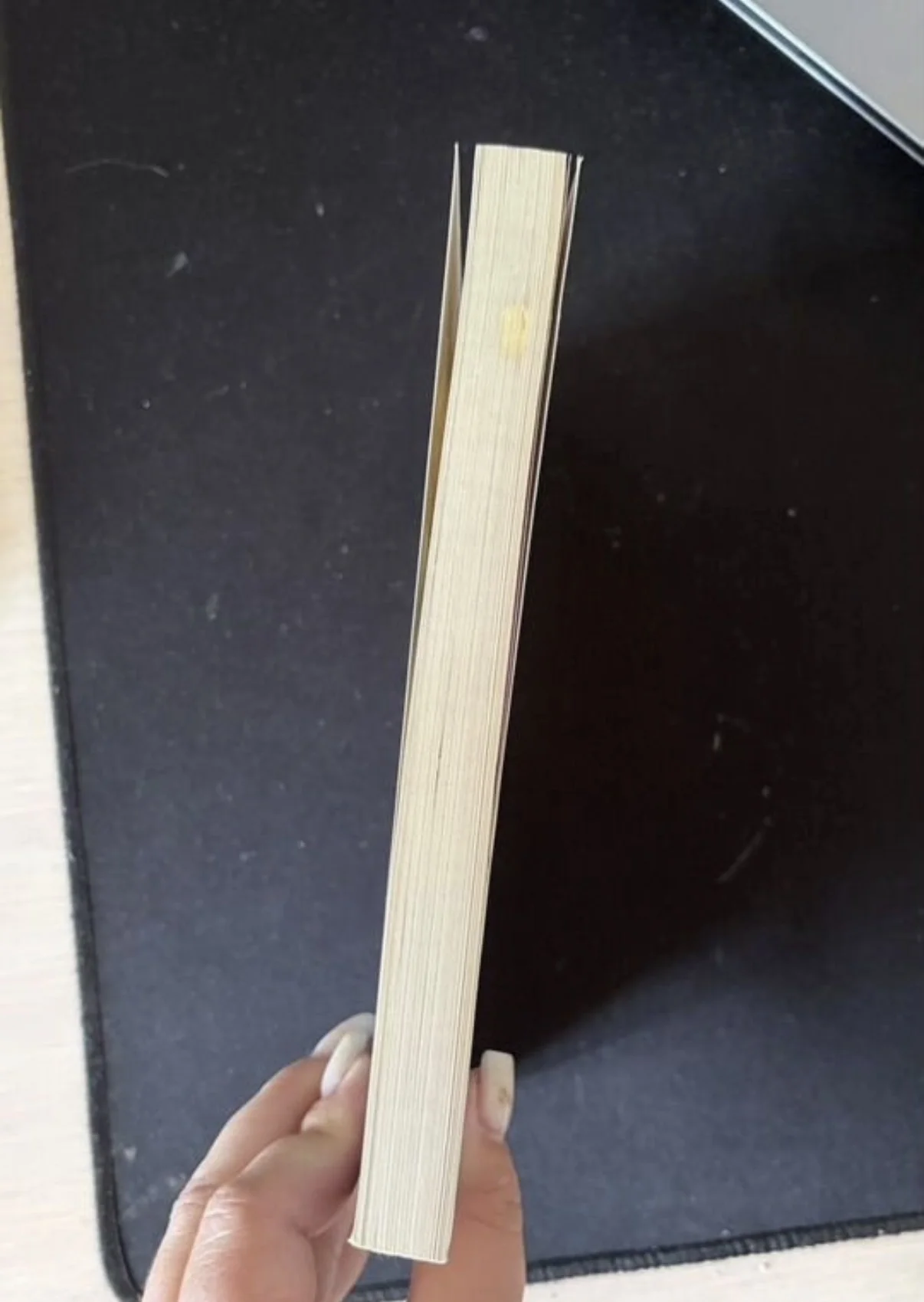 книга Зеркальная страна - миниатюра 3