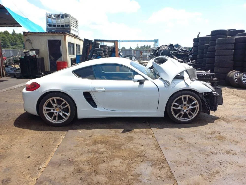 Блок электронный Porsche Cayman 981 (2013—2016) - миниатюра 10