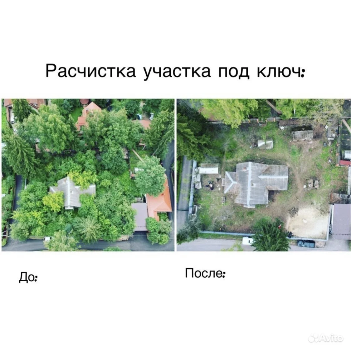 Расчистка участков - изображение 1