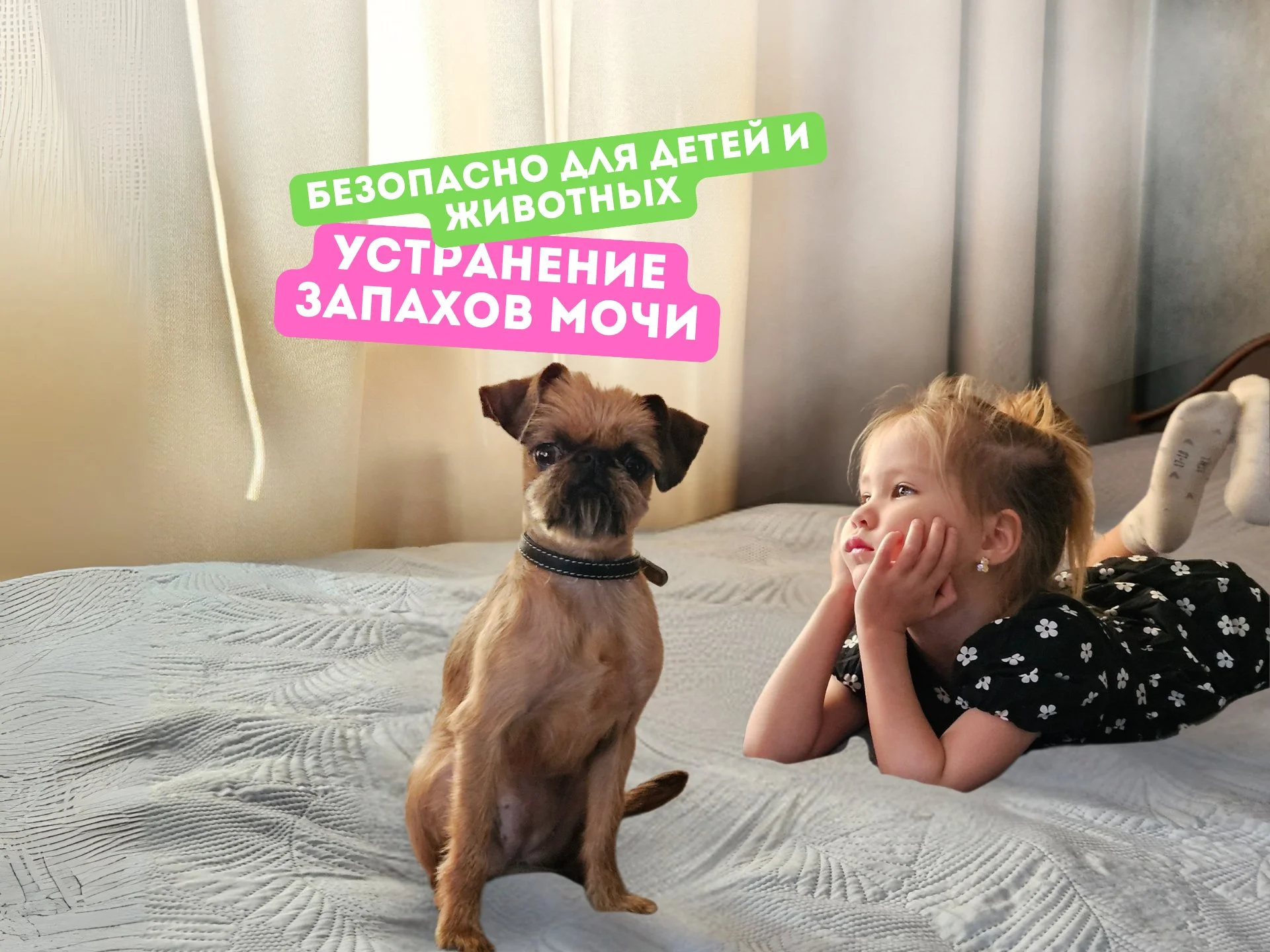 Химчистка мягкой мебели. Химчистка дивана(частник) - изображение 1