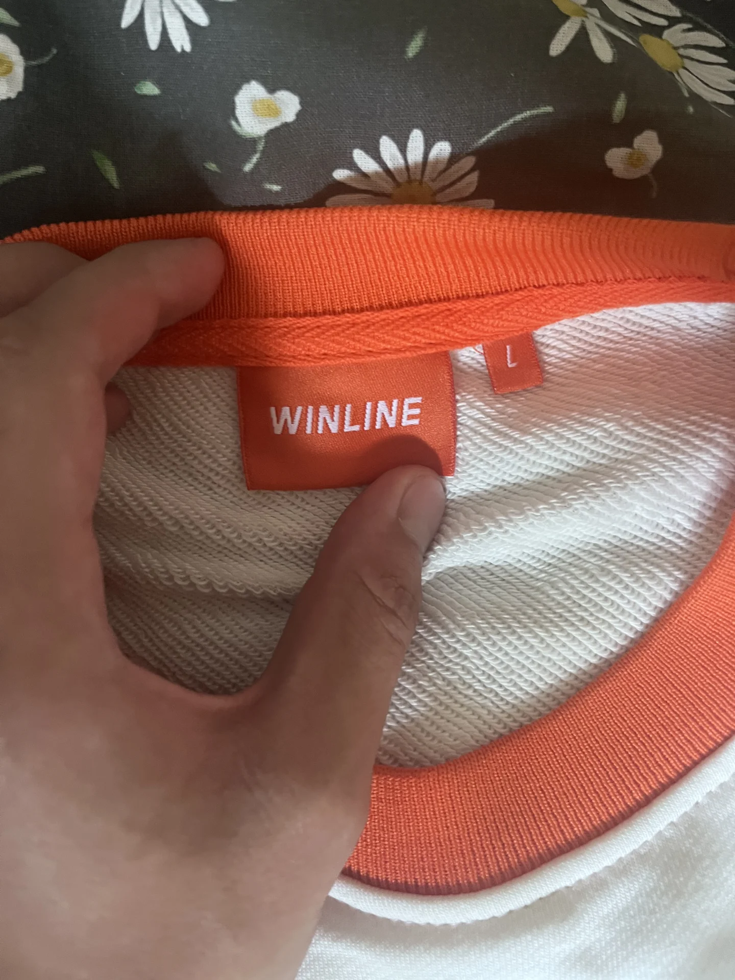 Свитшот WINLINE - изображение 1