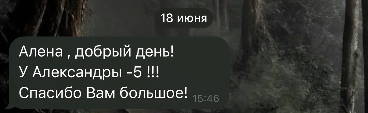 Репетитор по русскому языку ОГЭ\ЕГЭ\ВПР - миниатюра 5