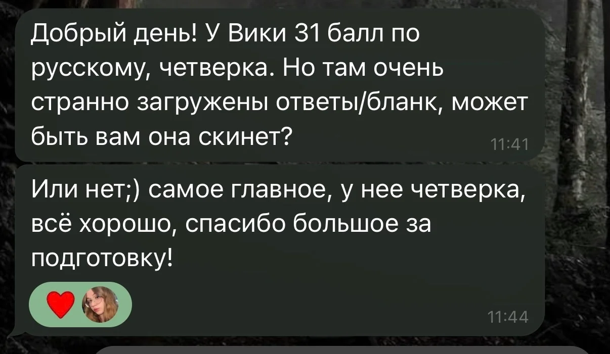 Репетитор по русскому языку ОГЭ\ЕГЭ\ВПР - миниатюра 6