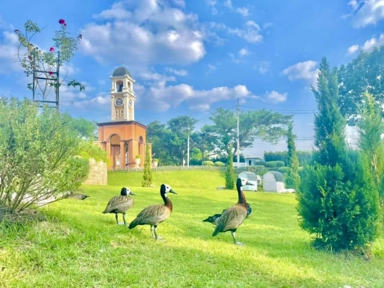 Дом в Паттайе, Таиланд, 134 м² - миниатюра 5