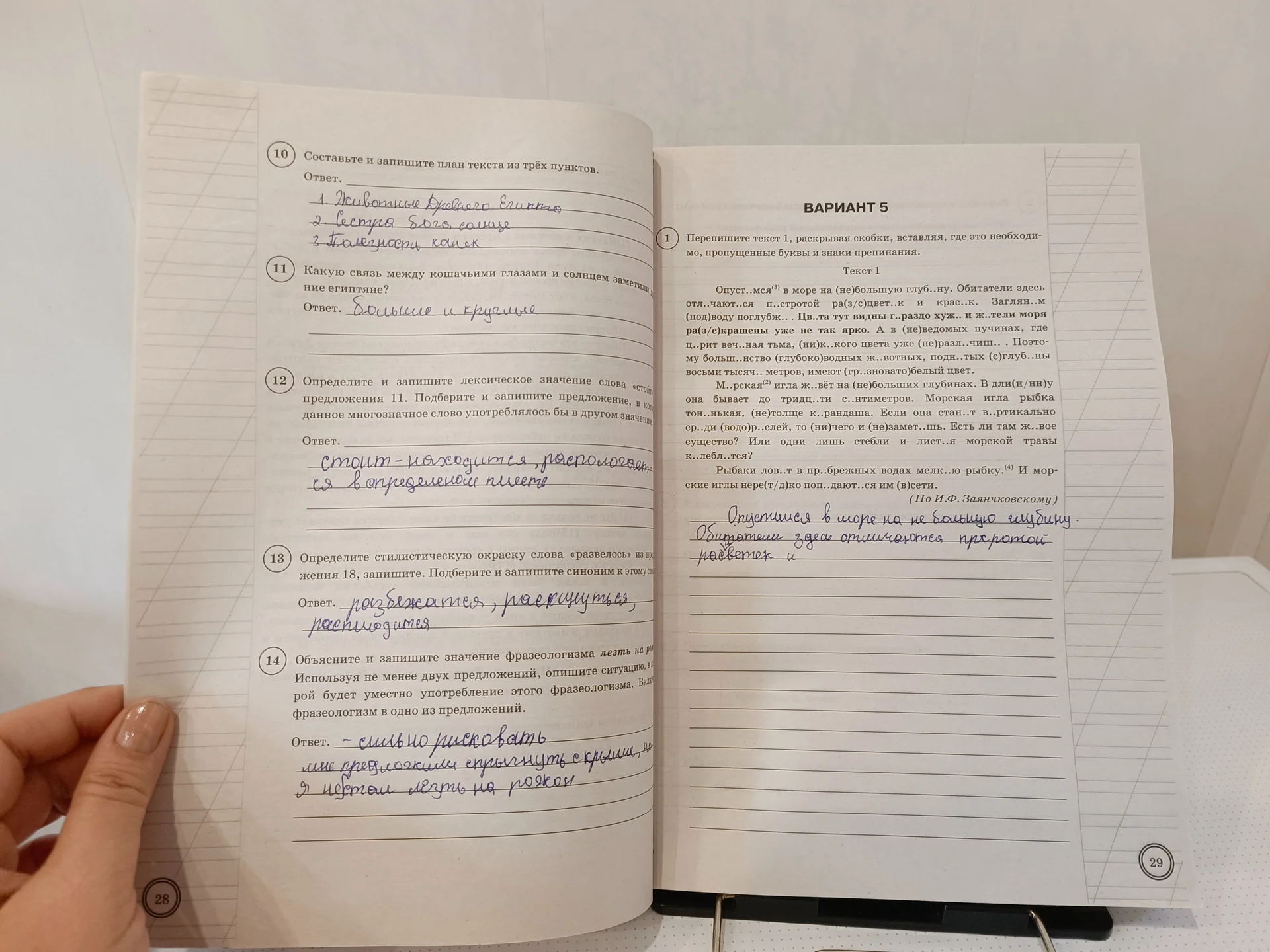 ВПР математика, Русский язык 6 кл набор 2 пособия - миниатюра 11