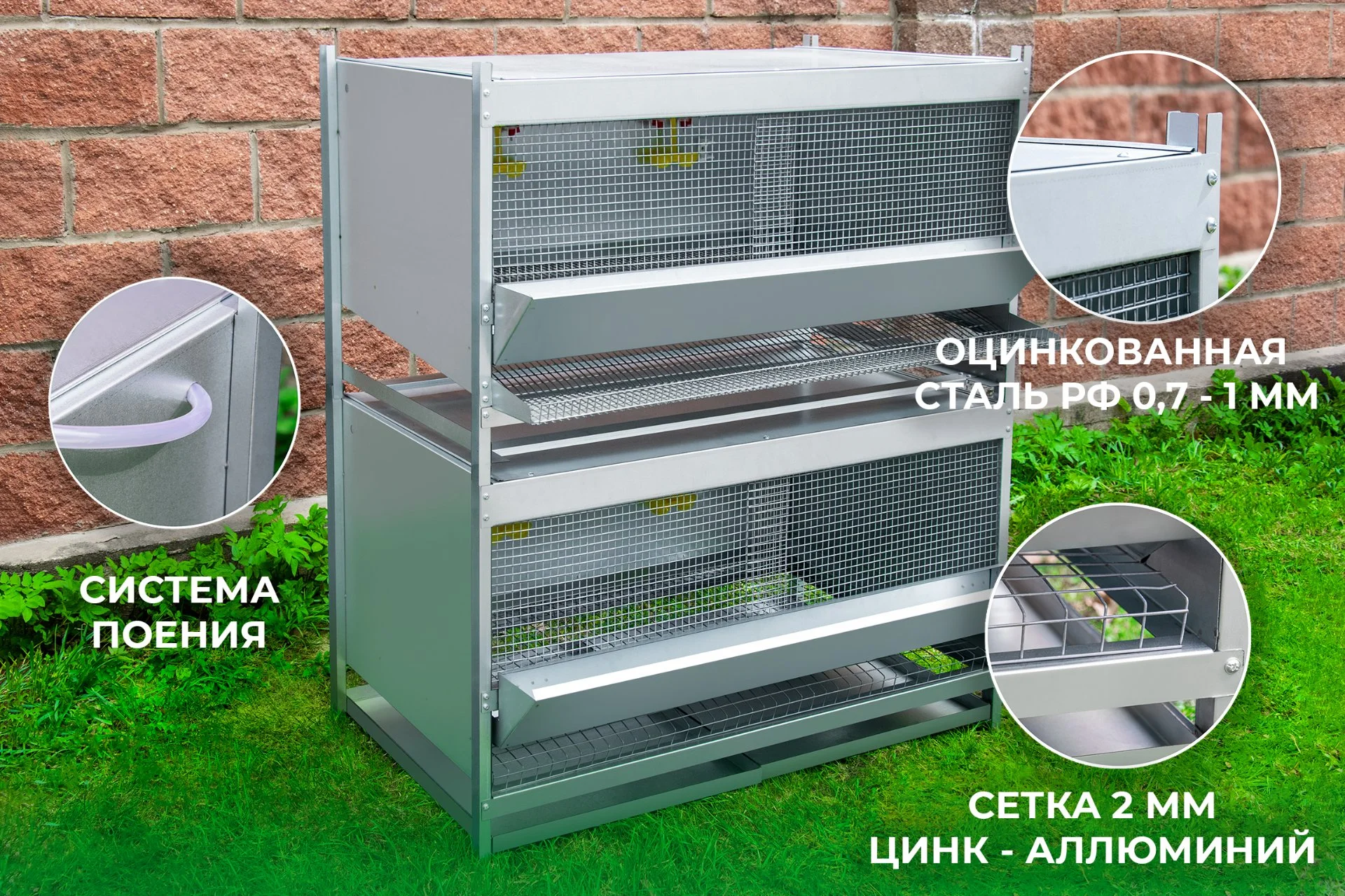Клетки для домашней птице(для бройлеров,кур-несушек,перепелов.брудеры для циплят). - миниатюра 5