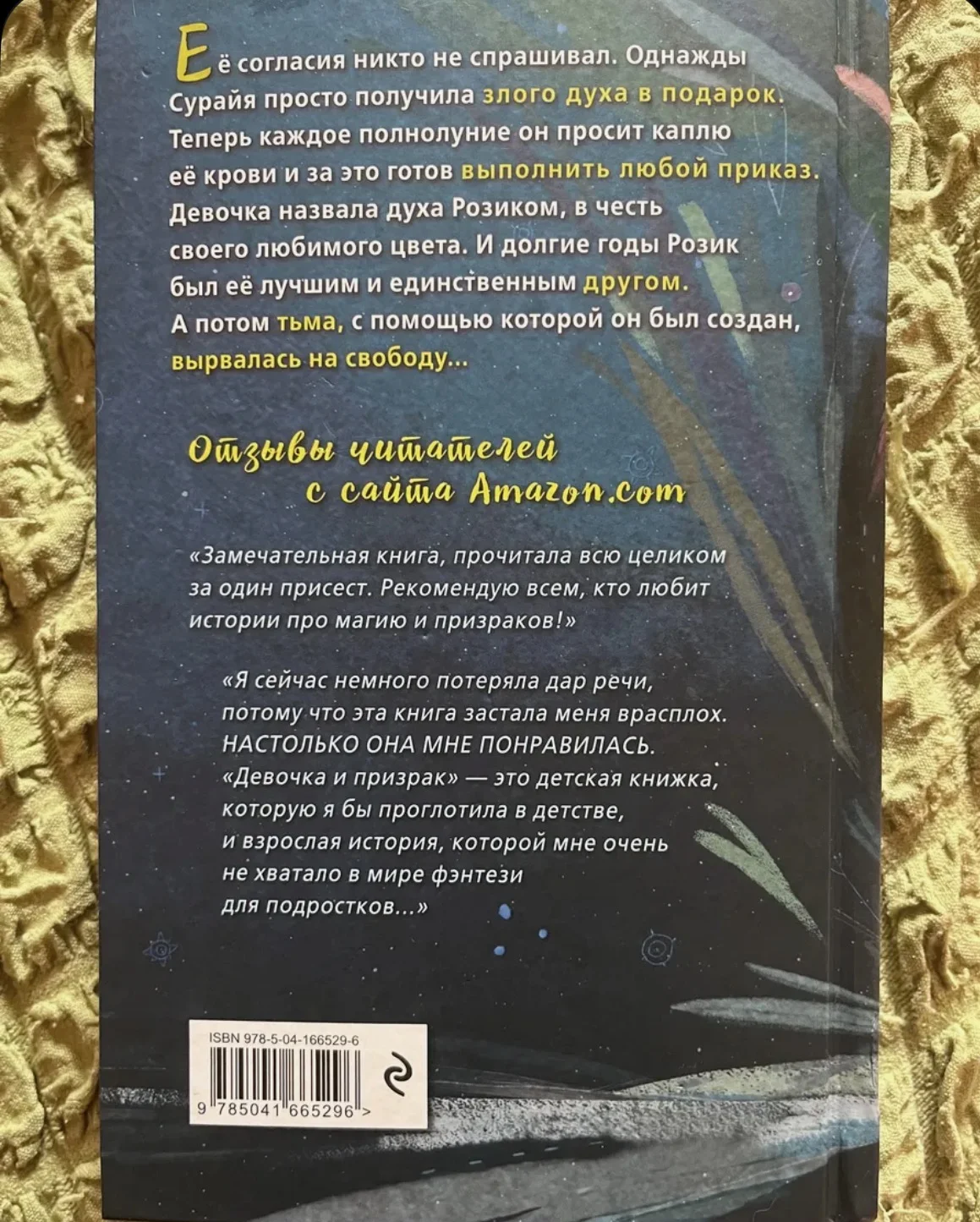 Книга «Девочка и призрак» - миниатюра 4