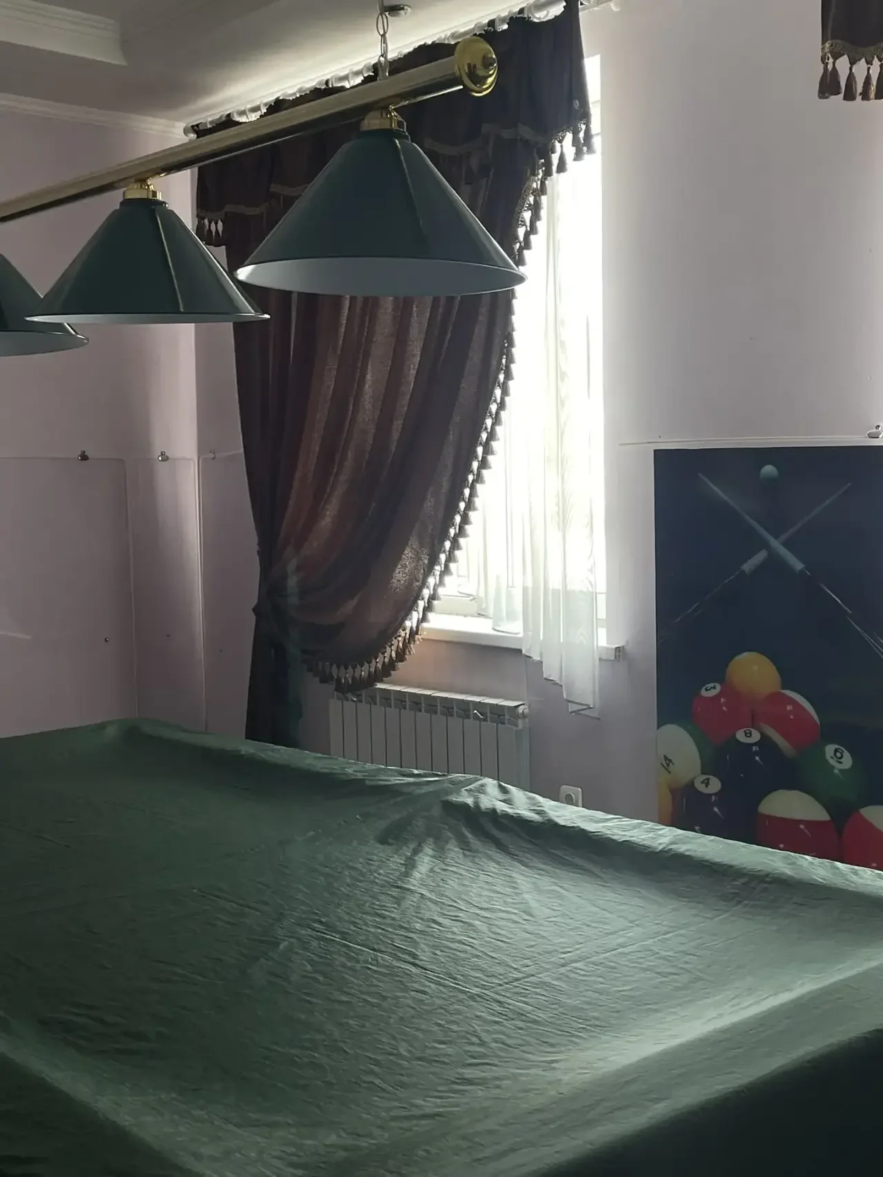 профессиональный бильярдный - миниатюра 8