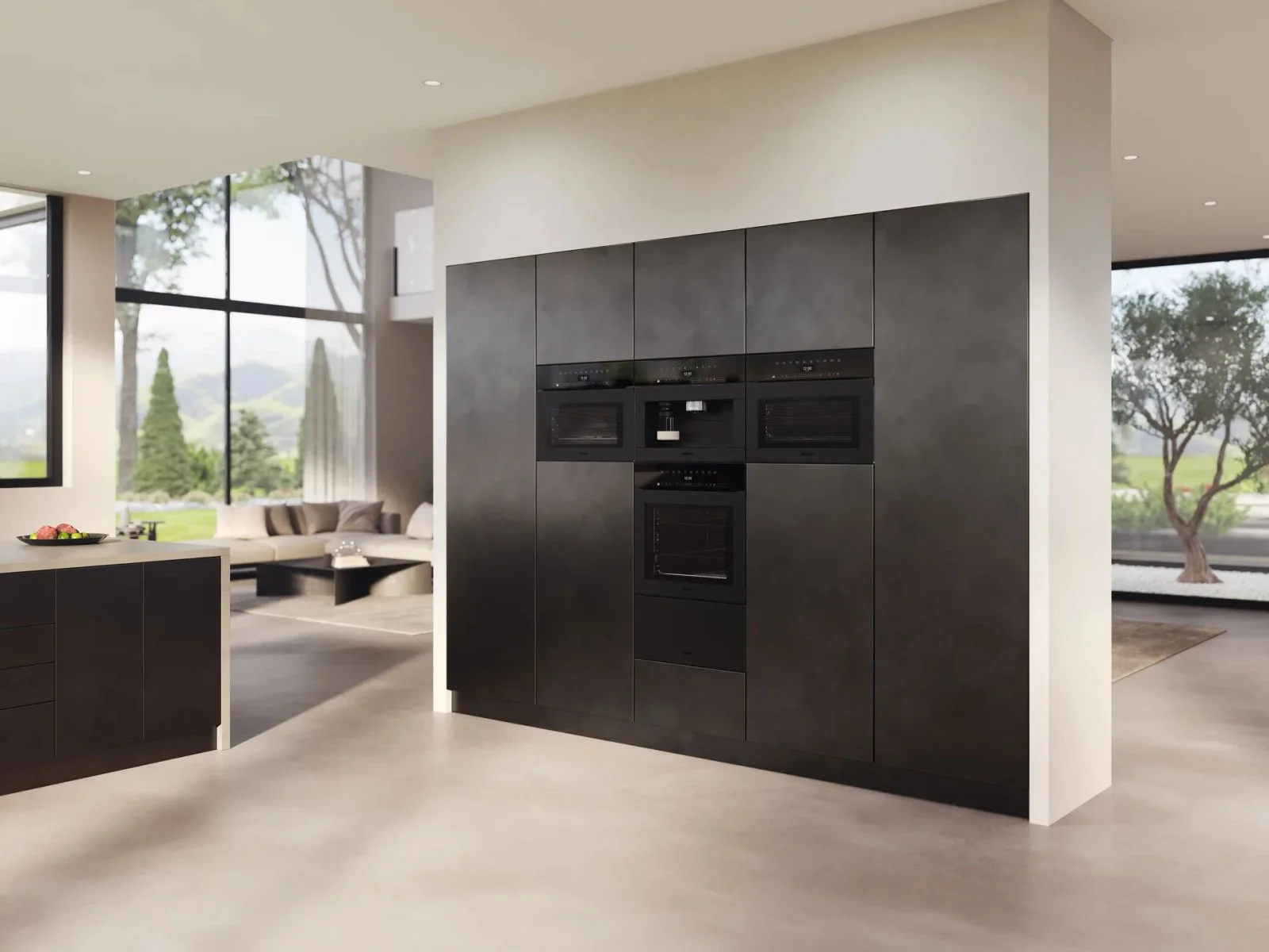 Пароварка Miele DGC 7445 HCX Матовый чёрный - миниатюра 4