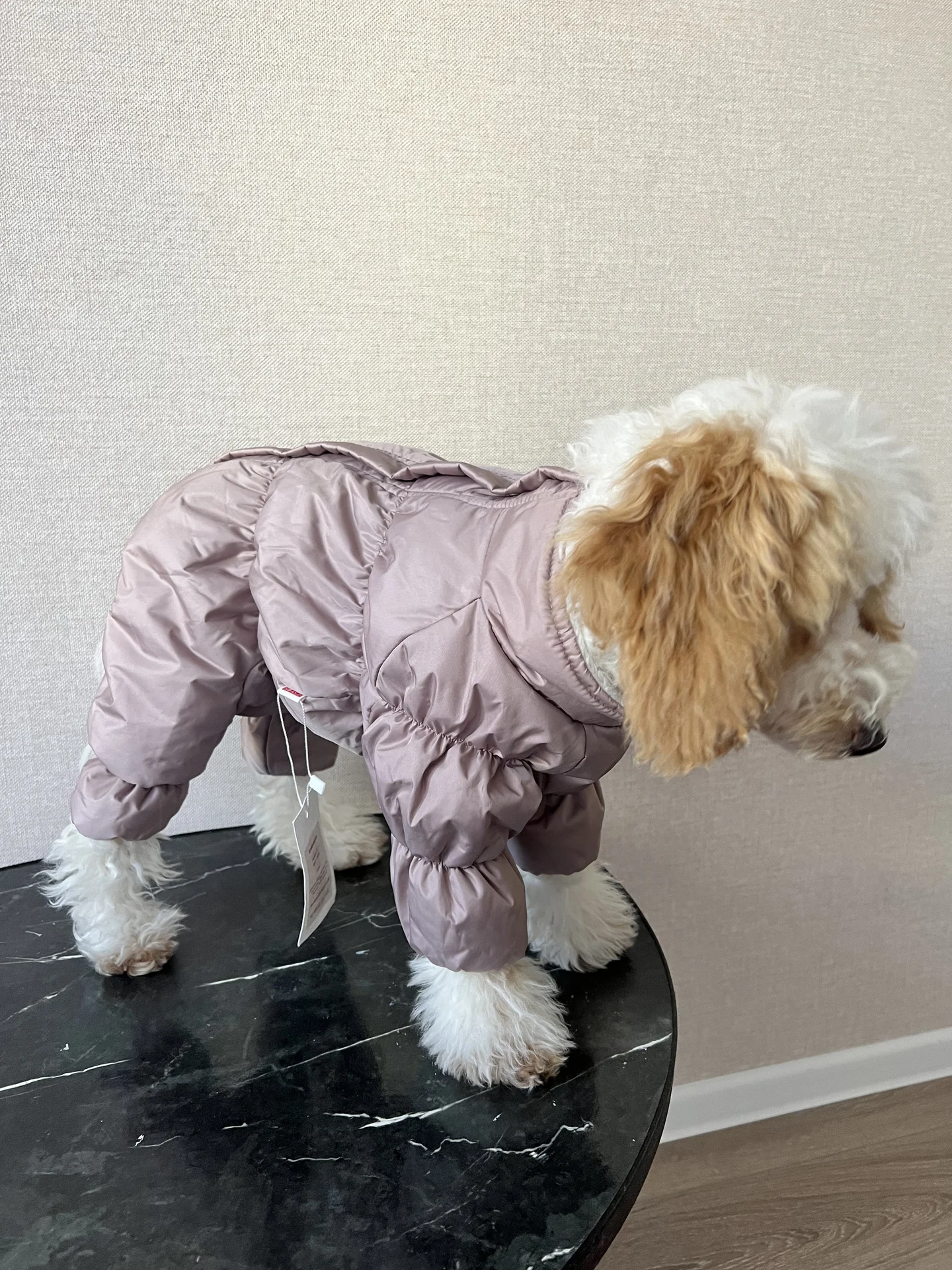 🐕комбинезоны для собак🐕 - миниатюра 2