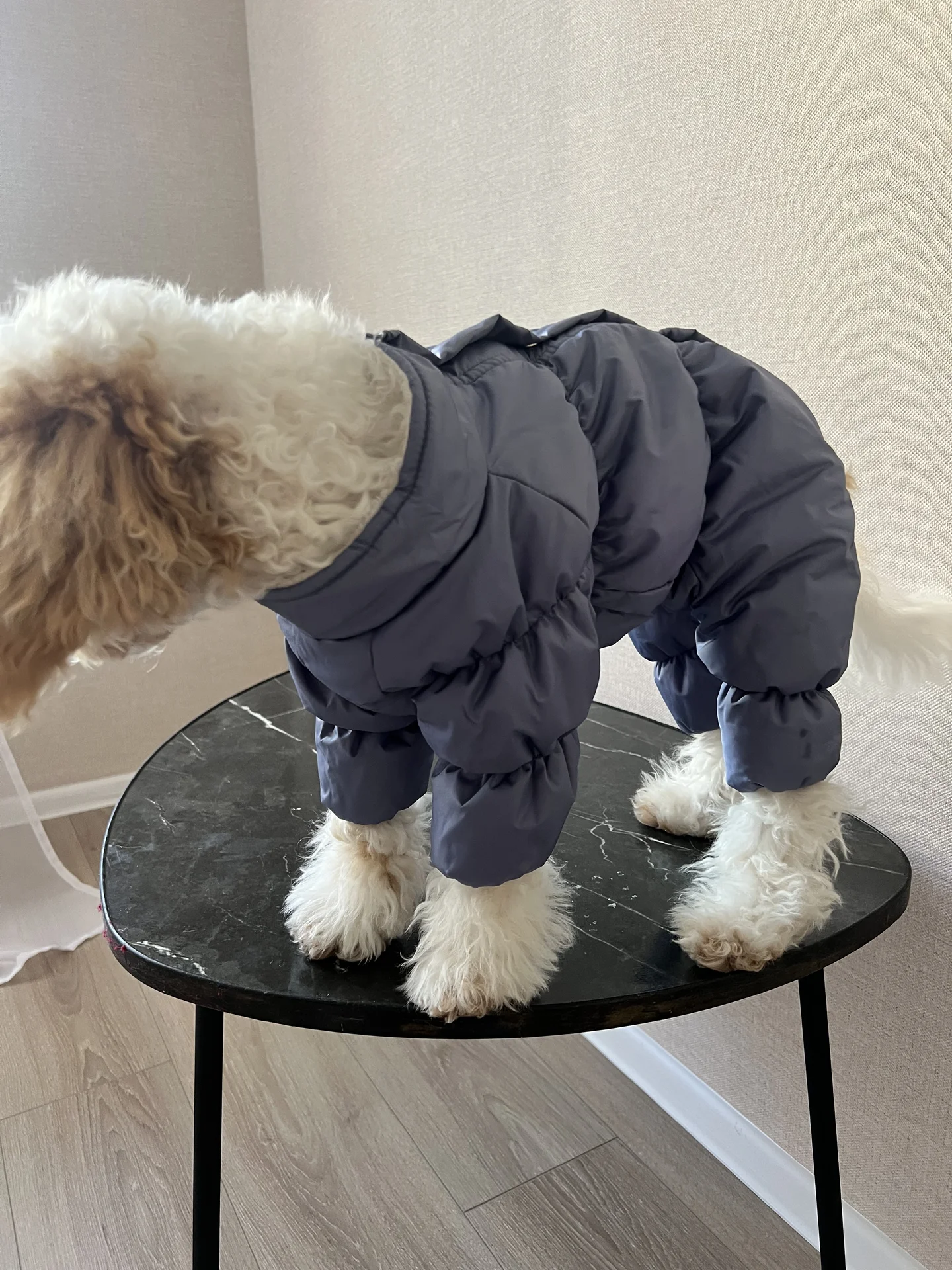 🐕комбинезоны для собак🐕 - миниатюра 3