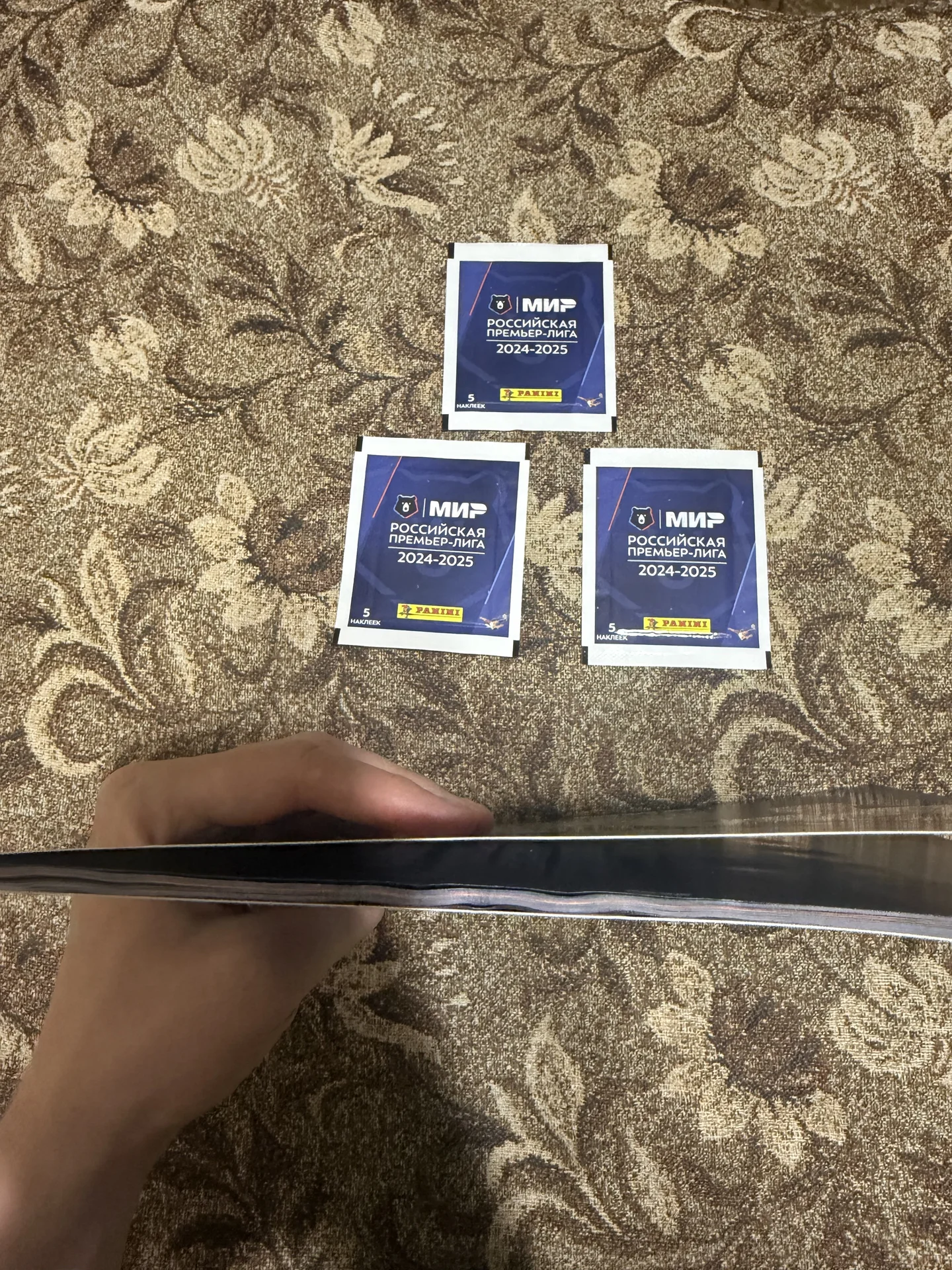 Альбом Panini РПЛ 2024-2025 + 3 пакетика - миниатюра 6