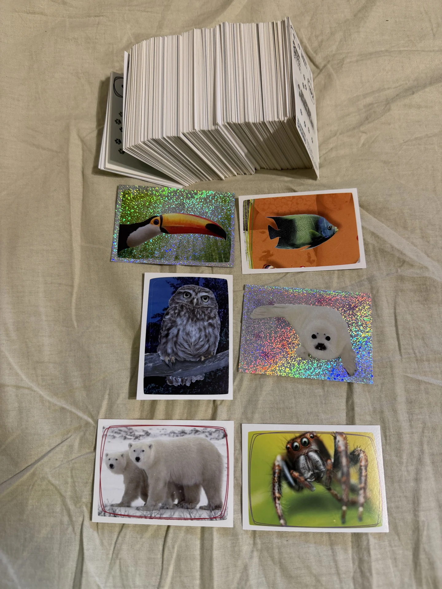Наклейки Panini Super Animals - изображение 1