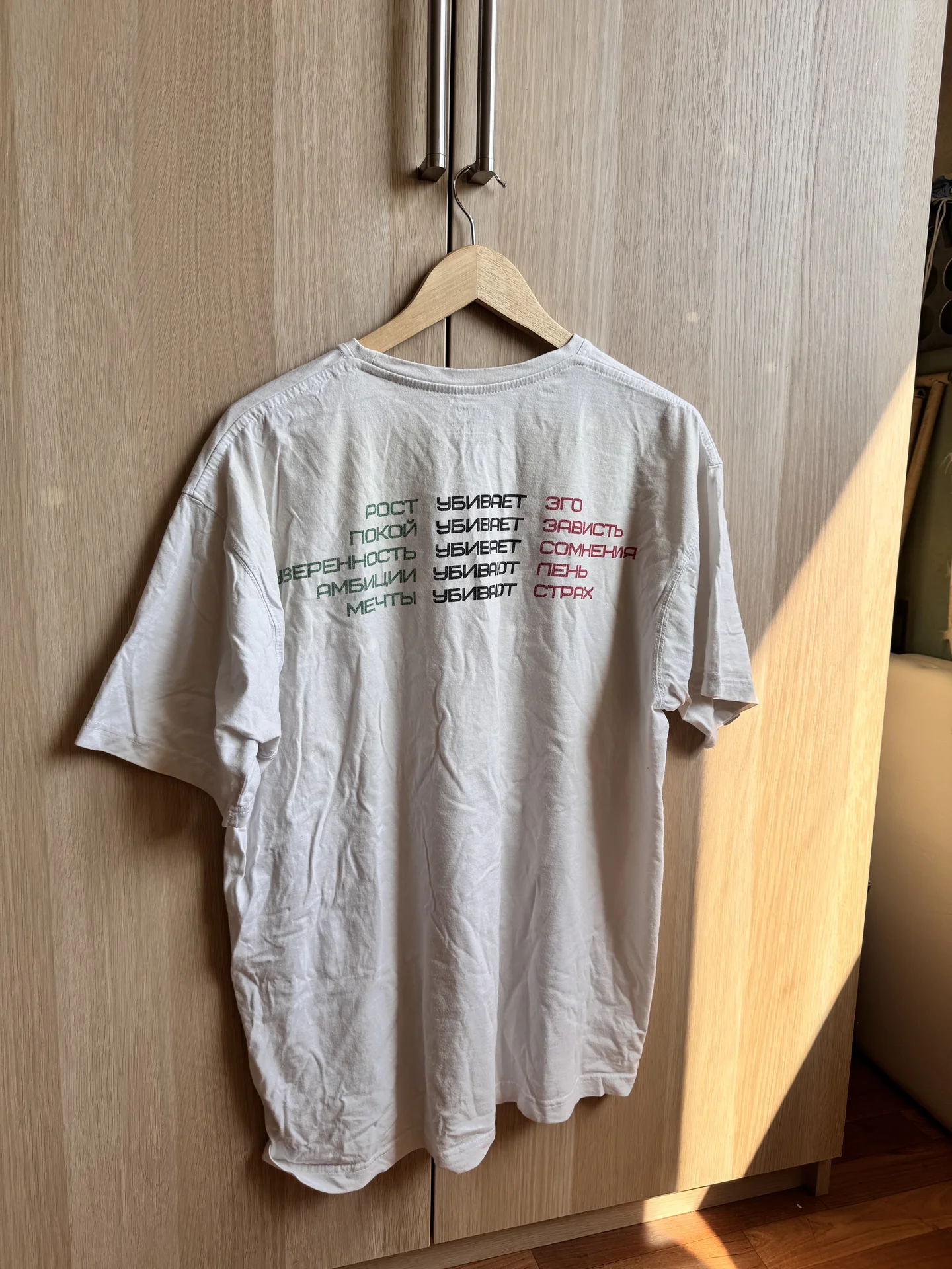 Мужская футболка с мотивационной надписью 2XL - миниатюра 3