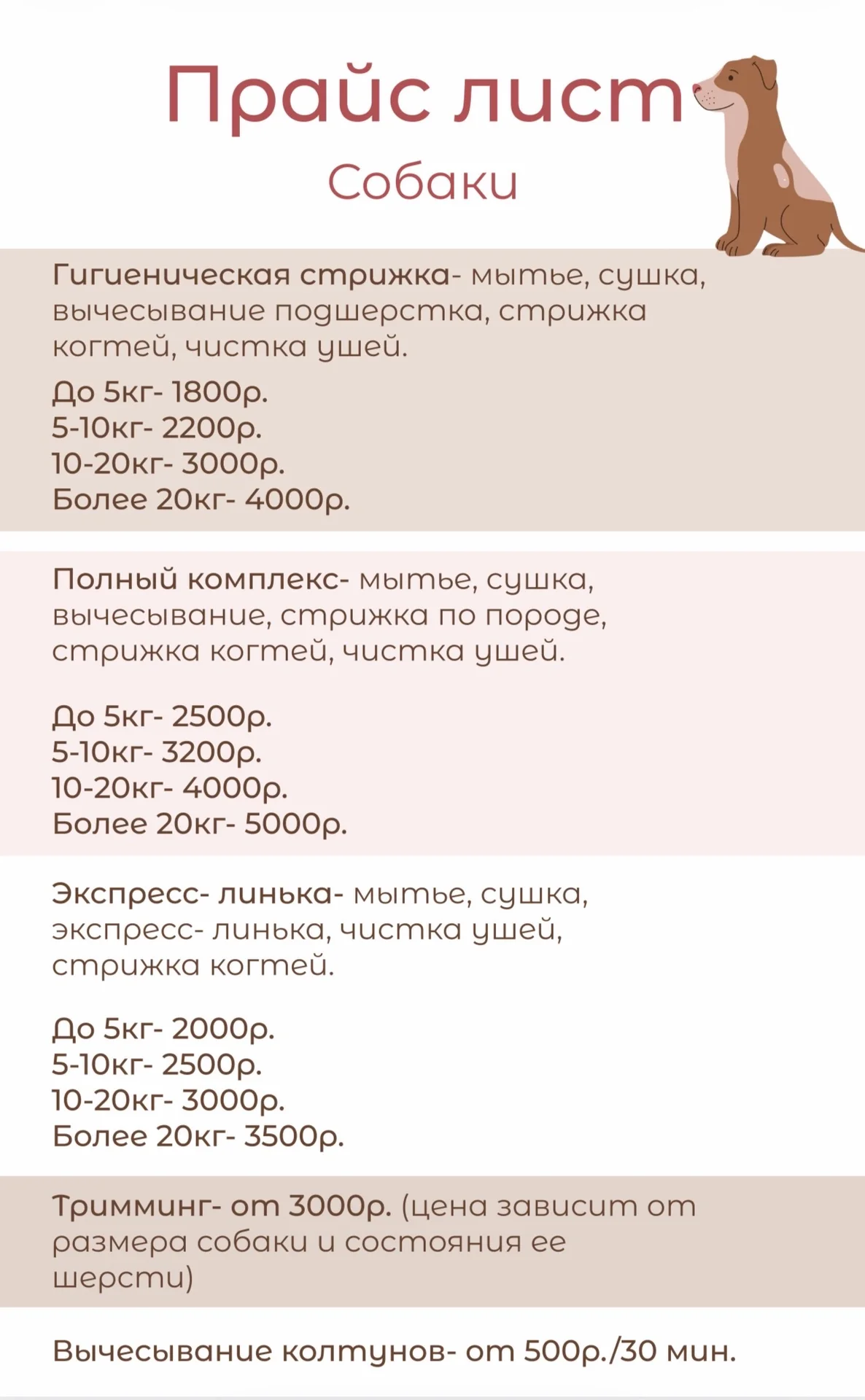 Груминг собак на выезд - миниатюра 2