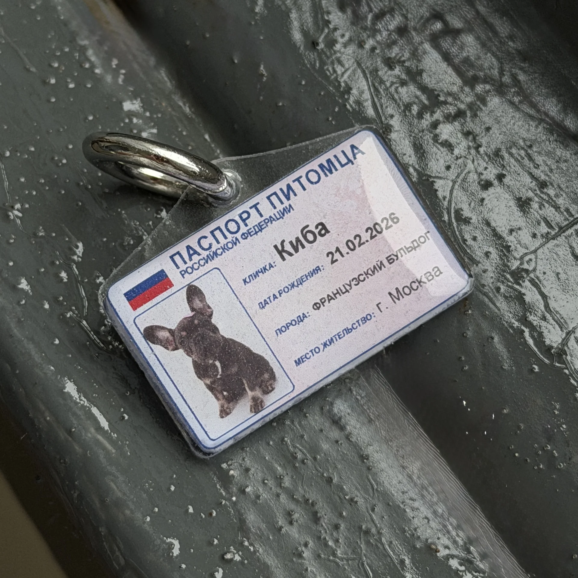 Адресник паспорт для питомца - миниатюра 4