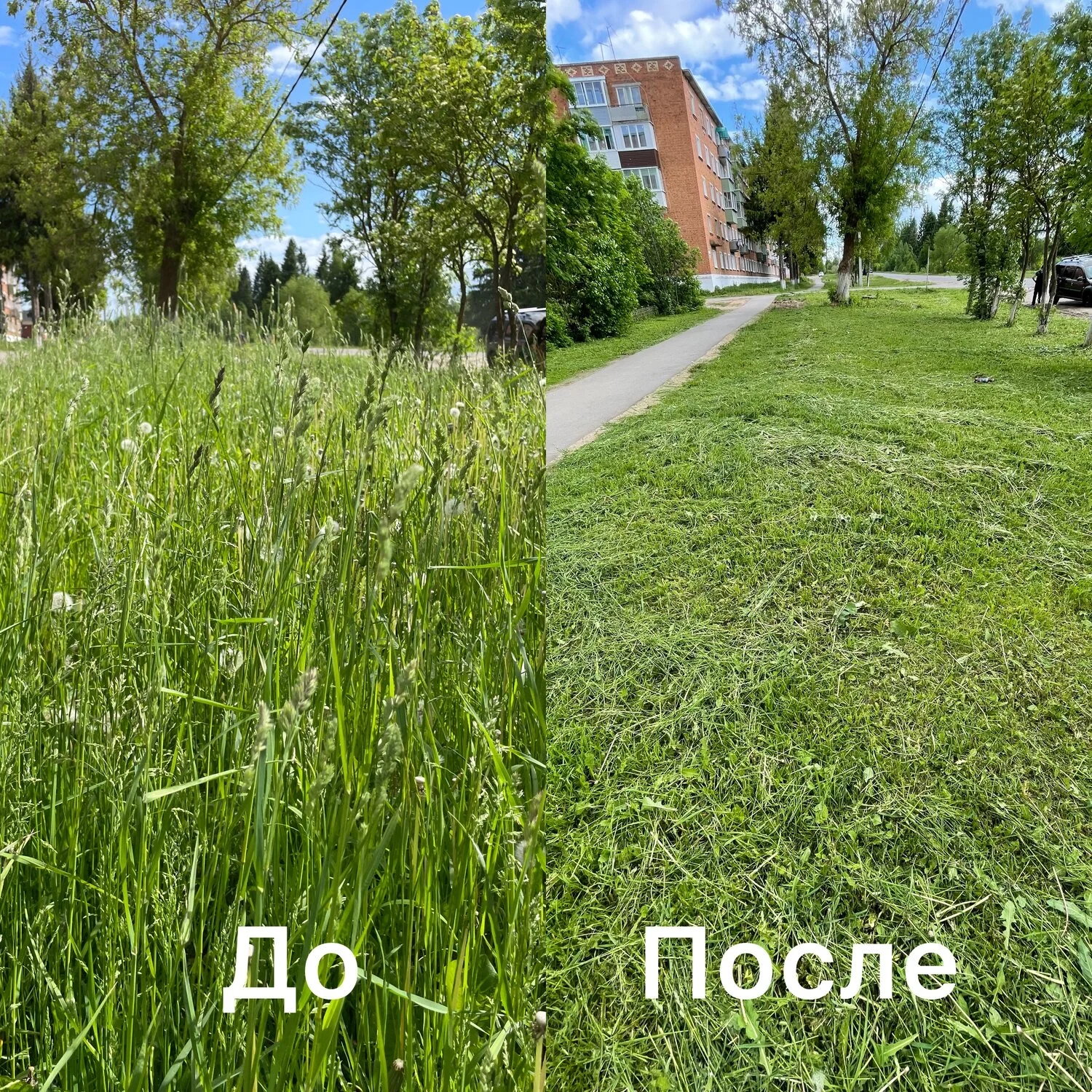 покос травы - миниатюра 2