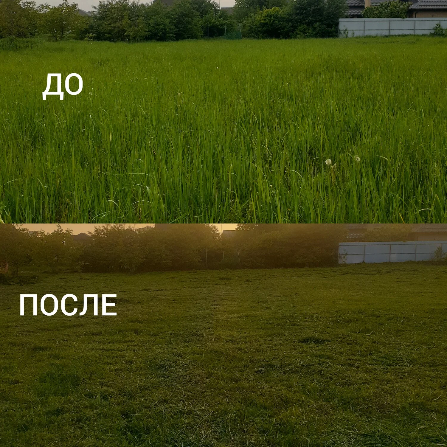 покос травы - миниатюра 3