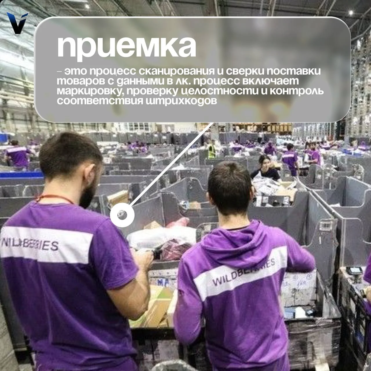 Требуется сортировщик в склад WB - миниатюра 9