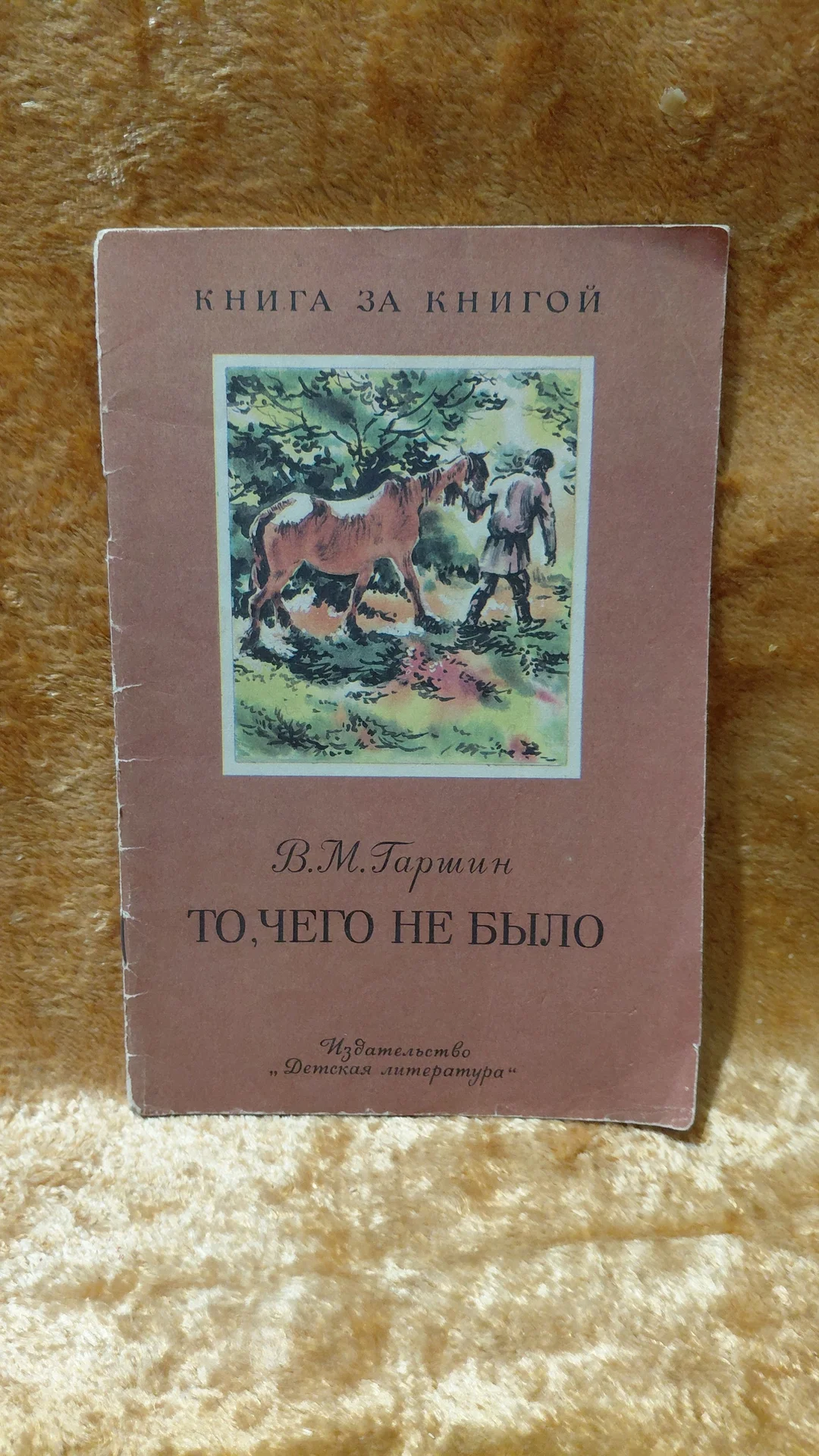 Книги - миниатюра 6