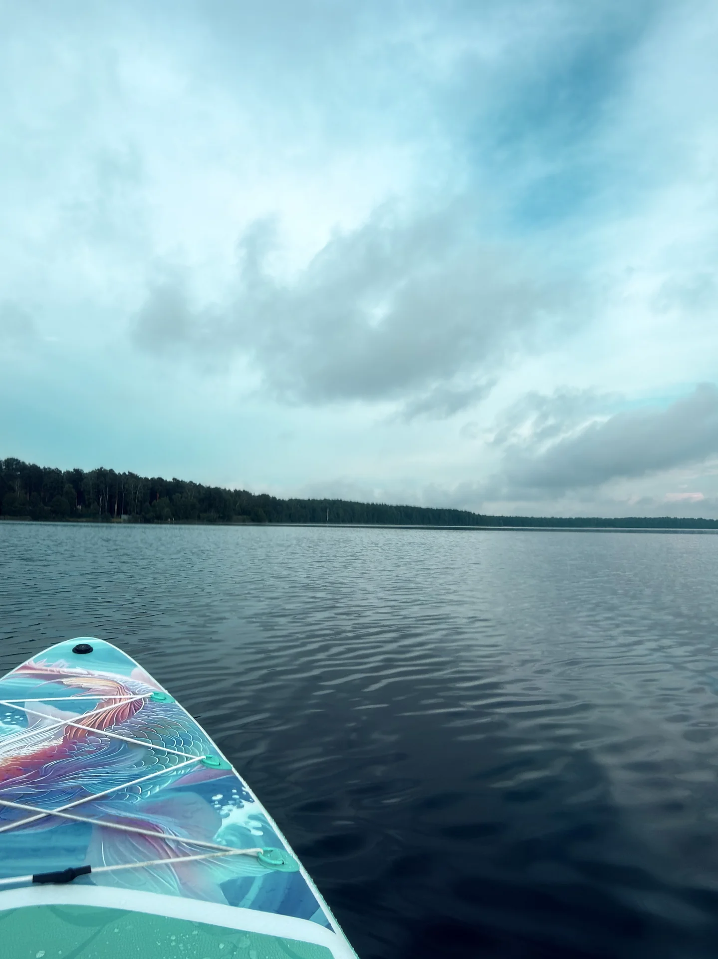 Sup-board (сапборд) в аренду - миниатюра 7