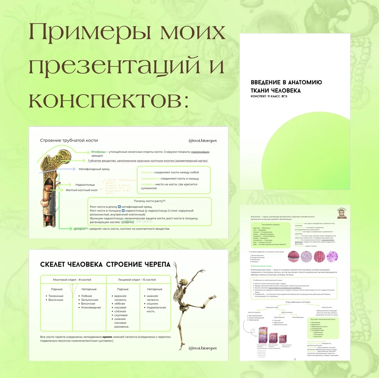 репетитор по биологии - миниатюра 7