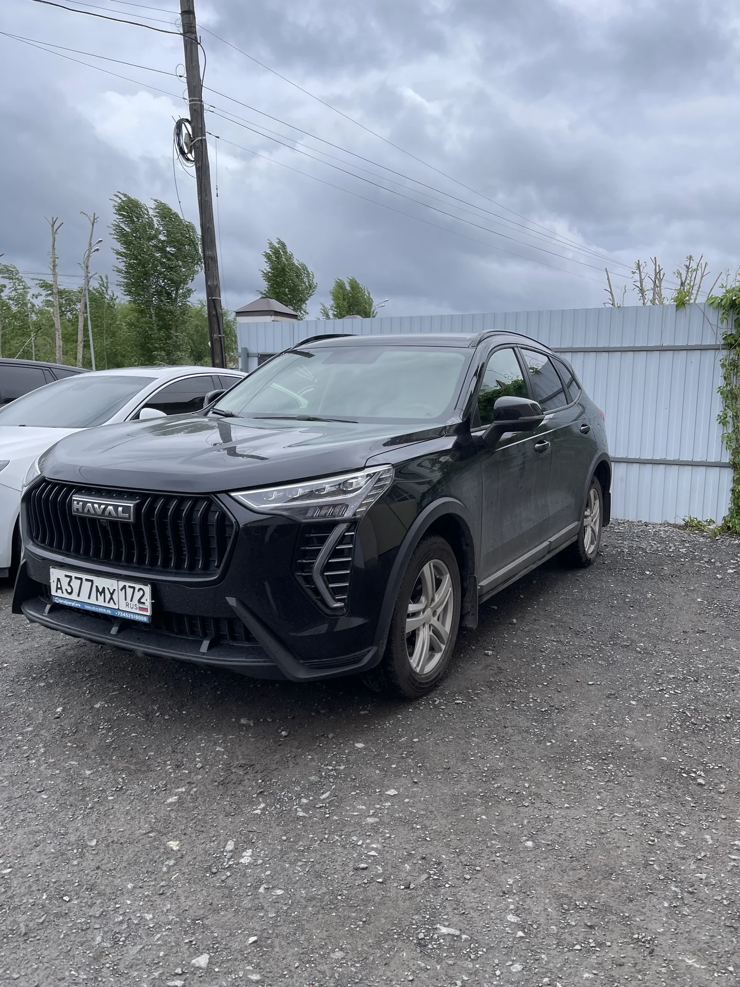 тоноровка стекол автомобиля - миниатюра 8