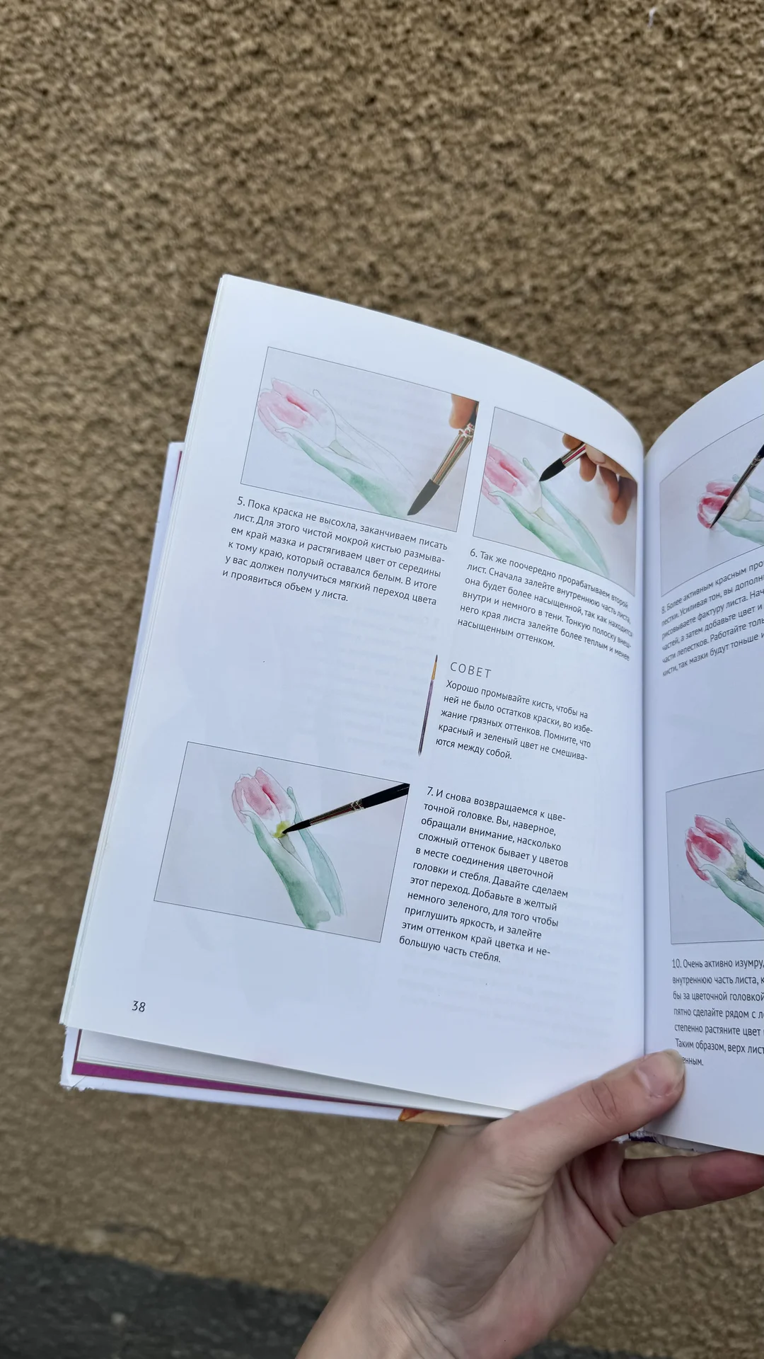 книга рисуем цветы акварелью - миниатюра 2