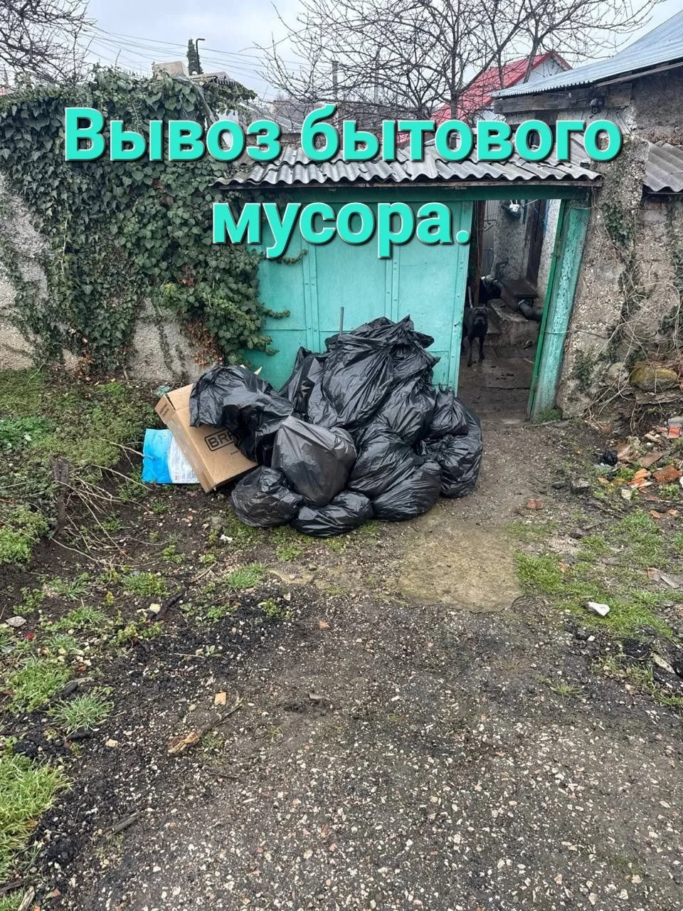 Вывоз мусора с грузчиками - миниатюра 3