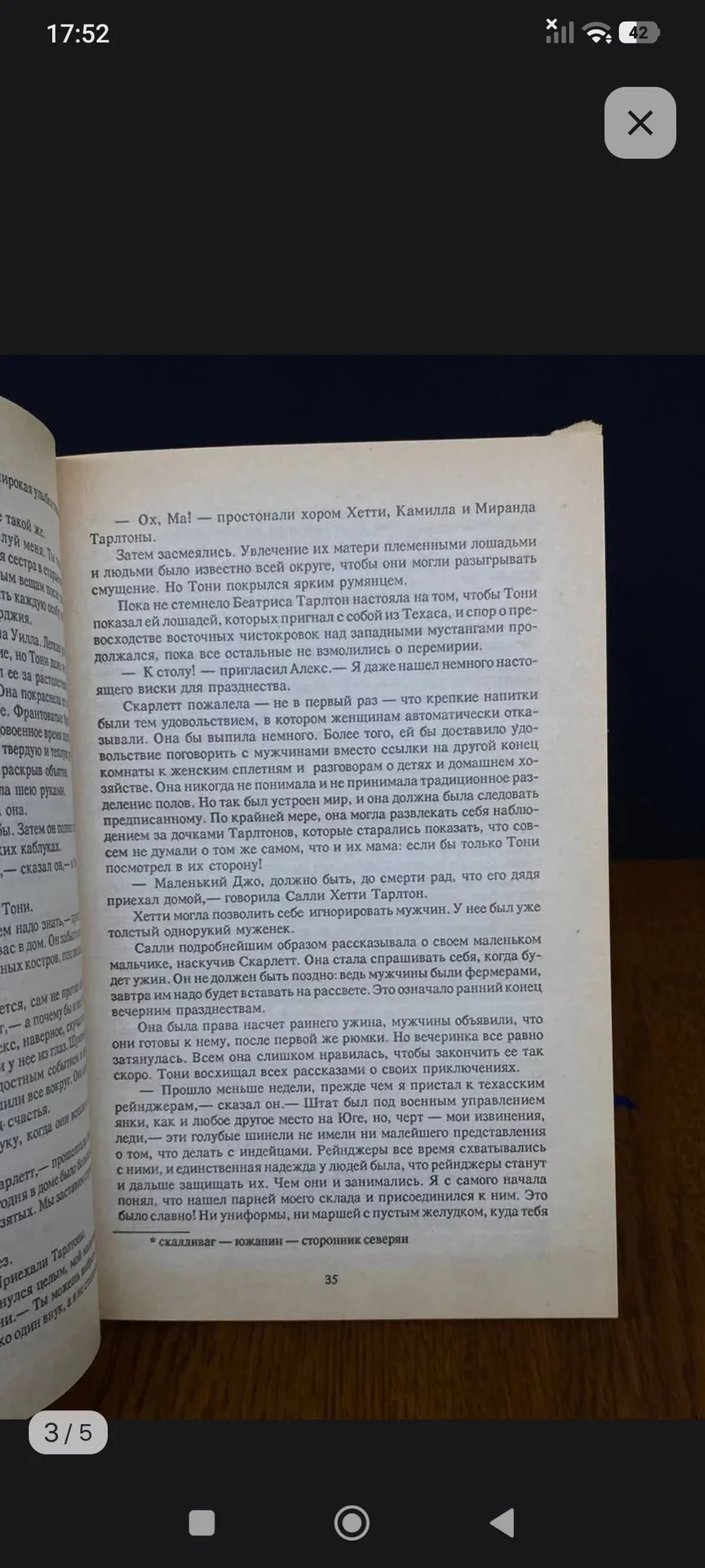 Скарлетт - миниатюра 2