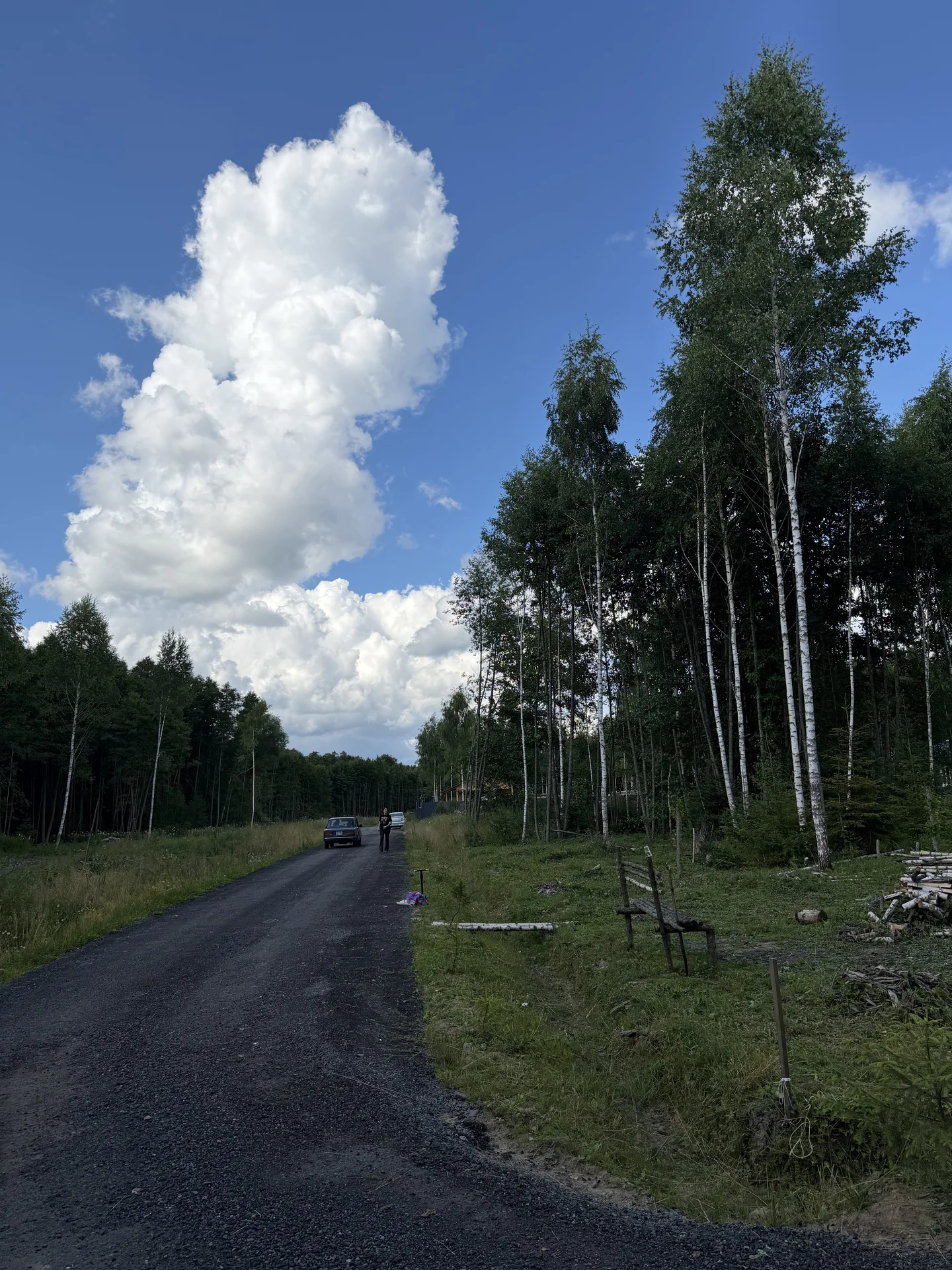 Продаю участок (Собственник) - миниатюра 15