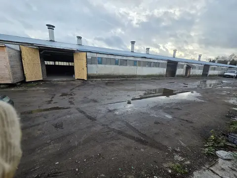 Сдаются помещения