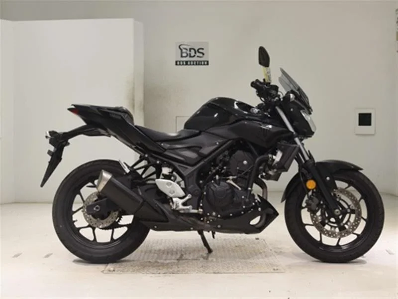 В пути YAMAHA MT-03 - изображение 1