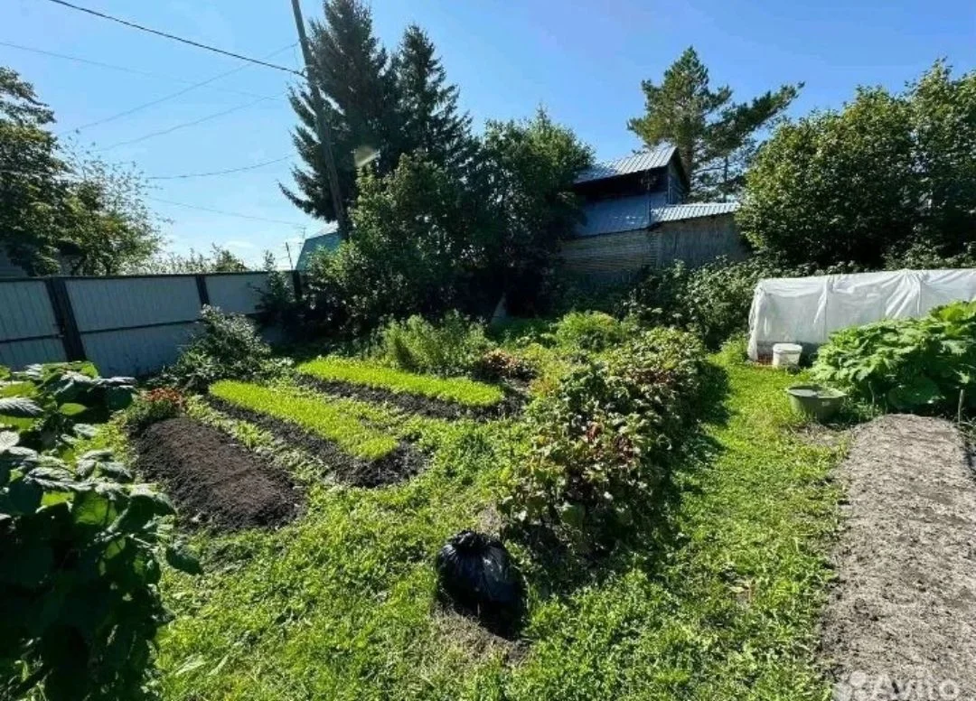 Продам дачу - миниатюра 5